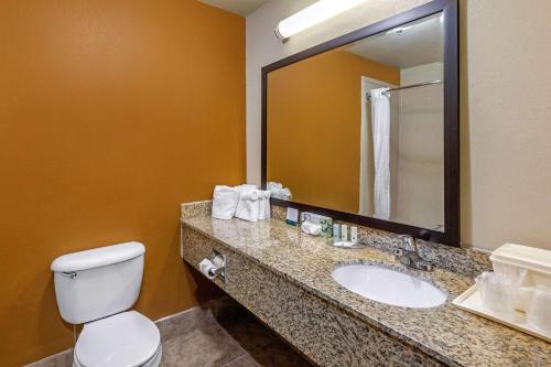 a bathroom with a sink and a toilet and a mirror at Quality Suites Addison-Dallas in Addison