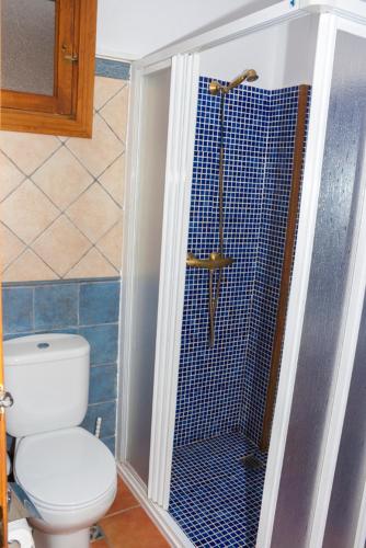 a bathroom with a toilet and a shower at Casa Rural Benito in Las Cuevas de Cañart