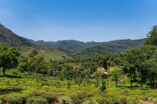 a view of a valley with mountains in the background at StayVista at Aashirwaad Villa in Coonoor
