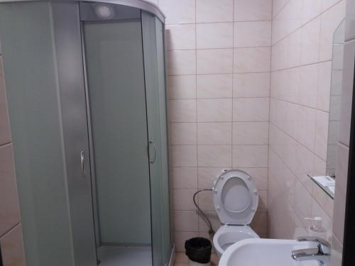 a bathroom with a shower stall and a toilet at ЧистоСила in Uzhhorod