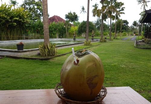 Zahrada ubytování Buana Ecofarm Ecolodge