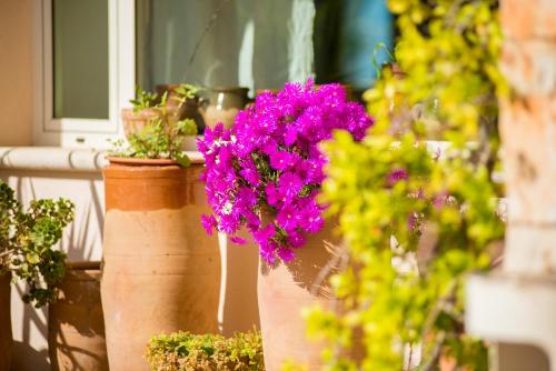 Approdo Boutique Hotel Leucaにある庭