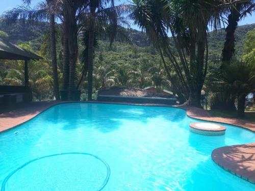 a swimming pool with palm trees and a mountain in the background at The Ultimate Lodge in Louis Trichardt