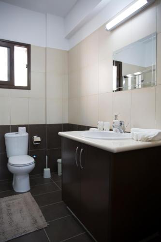 a bathroom with a sink and a toilet and a mirror at Valentine's House in Theletra