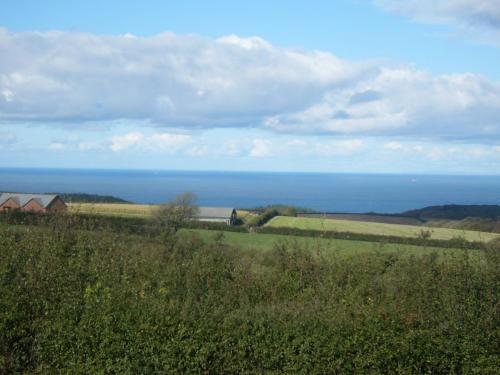 Gallery image of Southdown B&B in Clovelly