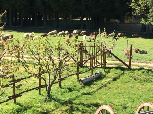 Agriturismo Fiorella – Photos 4