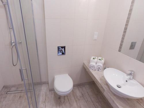 a bathroom with a toilet and a sink and a shower at Dwór i Dworek Leszczowate Wellness & Spa in Ustrzyki Dolne