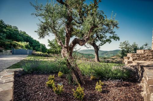 a tree in a garden next to a road at Nikis Resort in Gubbio