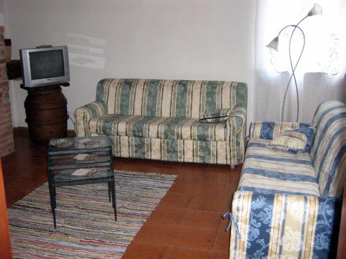 a living room with a couch and a tv at Certine Agriturismo in Asciano