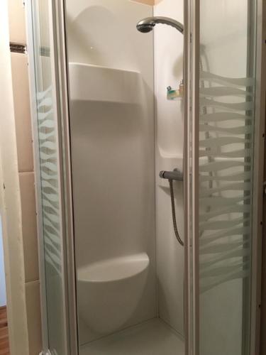 a shower with a glass door in a bathroom at Maison la Quentinière in Saint-Calais-du-Désert