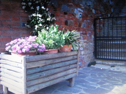 a wooden crate with flowers and plants in it at Certine Agriturismo in Asciano