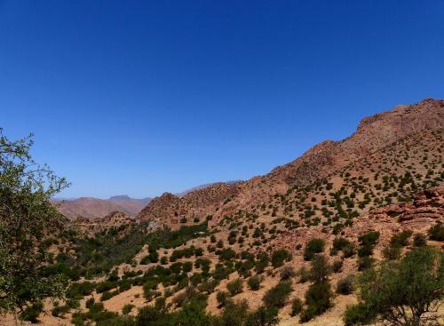 a mountain covered in trees and bushes on a hill at iskki-asnfou in Tafraoute