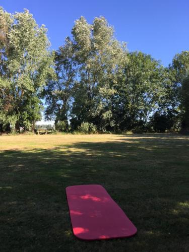 a pink yoga mat on the grass in a field at Polderlicht in Blankenberge