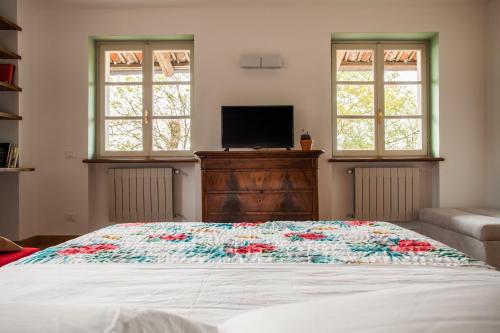 a bedroom with a bed and a tv and windows at AMERICA NEI BOSCHI B&B in Bra