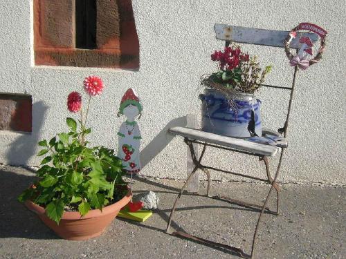 Φωτογραφία από το άλμπουμ του Vollmershof σε Wolfach