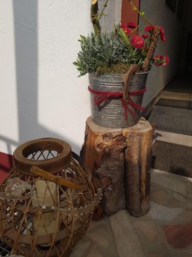 a pot on top of a tree stump with flowers in it at Gäste Apartement Casa Luber in Thalmassing