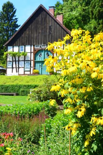 a house with yellow flowers in front of it at LÉGÈRE EXPRESS Bielefeld in Bielefeld