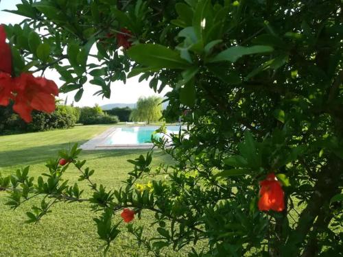 a view of a yard with a swimming pool at "IL CASALE DEI GIRASOLI" Country House in Capalbio in Capalbio