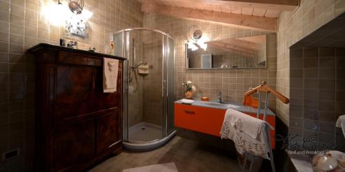 een badkamer met een douche en een wastafel bij Vista Castello in Rovereto