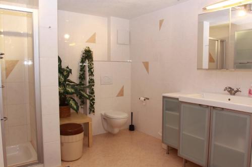 ein weißes Bad mit einem WC und einem Waschbecken in der Unterkunft Fewo Enzian in Bach