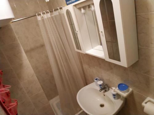 La salle de bains est pourvue d'un lavabo, d'un miroir et d'une douche. dans l'établissement Vila Sanja, à Premantura