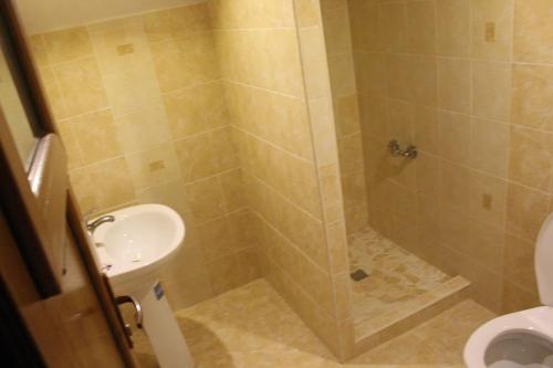 a bathroom with a shower with a sink and a toilet at Ardelean Lake House in Doştat