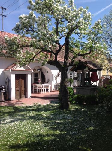 a tree in the yard of a house at Bed & Breakfast Chez Lips in Oberbildein