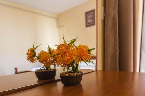 two vases with flowers in them sitting on a table at Mali Miločer Bay Accommodation in Sveti Stefan