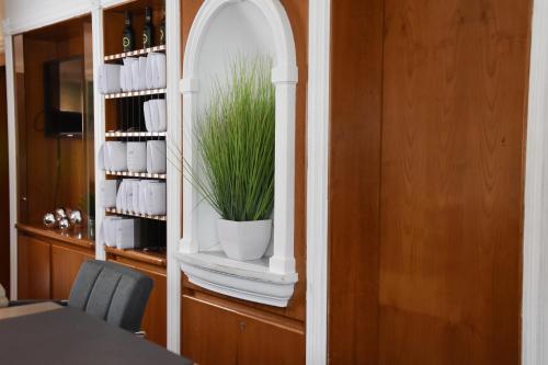 a plant in a window in a wine cellar at Palazzo Hotel - direkt im Zentrum in Mönchengladbach