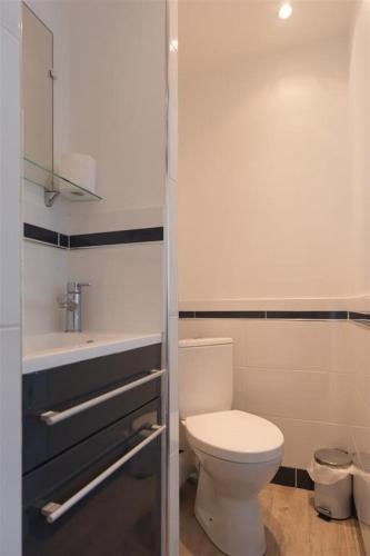 a bathroom with a white toilet and a sink at HOTEL DU CYGNE DE LA CROIX BLANCHE in Lailly-en-Val