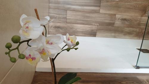 un vase avec des fleurs d'orchidées blanches devant une fenêtre dans l'établissement Villa Rosalba, à Polignano a Mare