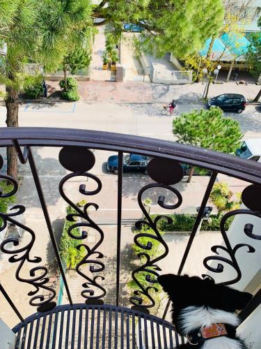 Gambar di galeri bagi Hotel Baby B&B di Milano Marittima