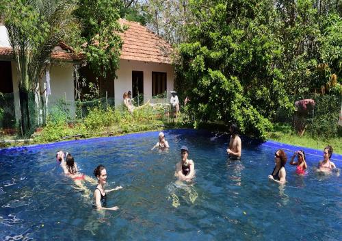 a group of people swimming in a swimming pool at Tranquilandia in Varagampadi