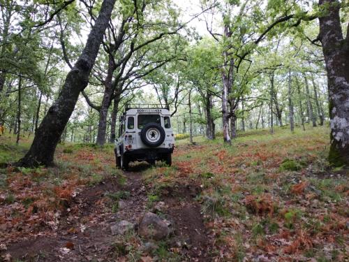 a jeep parked in a field in the woods at Prado del abuelo in Cabezuela del Valle