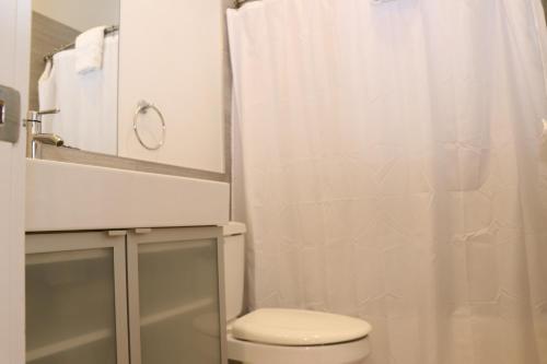 ein weißes Bad mit einem WC und einer Dusche in der Unterkunft Downtown Beacon Hill, Convenient, Comfy Studio #1 in Boston