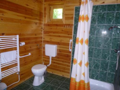 a bathroom with a toilet and a shower at Rigófészek Vendégház in Mátraszele