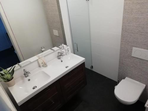 a bathroom with a sink and a toilet and a mirror at Villa van Brienen in Dilsen-Stokkem