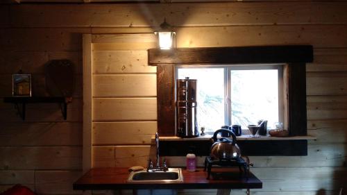 une cuisine avec un évier et une fenêtre dans l'établissement Blackburn Cabins - McCarthy, Alaska, à McCarthy