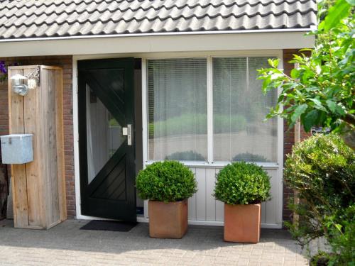 a front door of a house with two plants at B&B Vloedlijn Texel in Den Burg