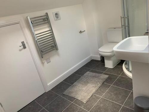 a bathroom with a toilet and a sink at GRANBY APARTMENTS F-3 in Leicester