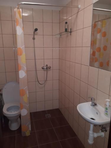 a bathroom with a shower and a toilet and a sink at Apartmán - súkromie v meste (12) in Bratislava