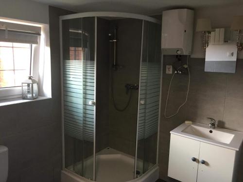 a shower with a glass door next to a sink at BIG CALM APART HOTEL 15min WARSAW 6pers WiFi Fireplace Garden Grill in Warsaw