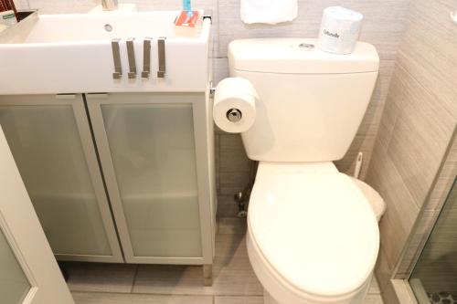 uma casa de banho com um WC branco e um lavatório. em Charming & Stylish Studio on Beacon Hill #6 em Boston