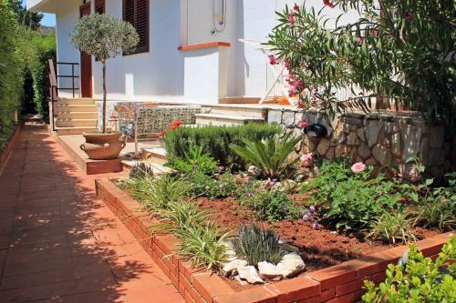 a garden in front of a house with plants at Villa Paradiso in Scopello