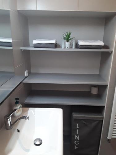 une petite salle de bain avec un lavabo et un évier dans l'établissement Apartment with Car Park - Charonne Neighborhood, à Paris