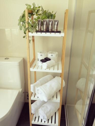 a bathroom with a shelf with towels and a toilet at The Town Apartments in Melbourne