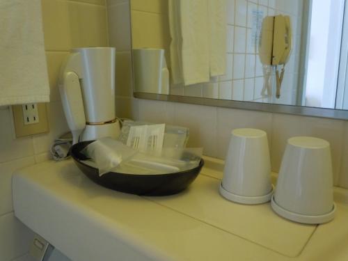 a bathroom counter with a sink and a hair dryer at Aizuwakamatsu Washington Hotel in Aizuwakamatsu
