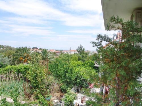a view of trees and plants from a building at Filoxenia Apartments in Mytilini
