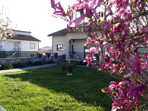 a yard with a house and a tree with pink flowers at Cynda´s home in Viseu