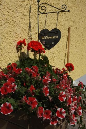 Jardín al aire libre en Hochfelner-Prutti - Stockerhof